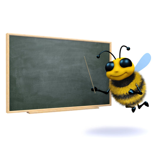 What Can Honeybees Teach Us Humans?